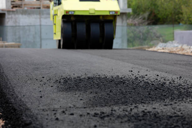 Professional Driveway Pavers in Dardanelle, AR