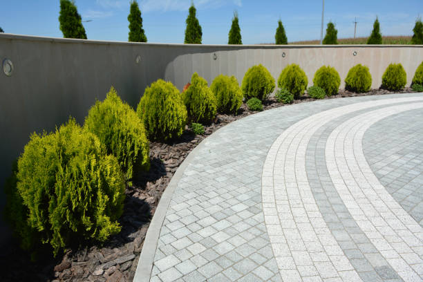 Best Concrete Paver Driveway  in Ddanelle, AR
